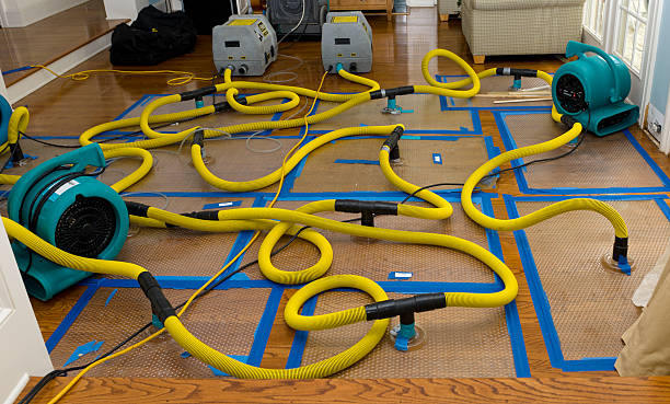 Professional Flood Damage Restoration technician working in Casco, MI
